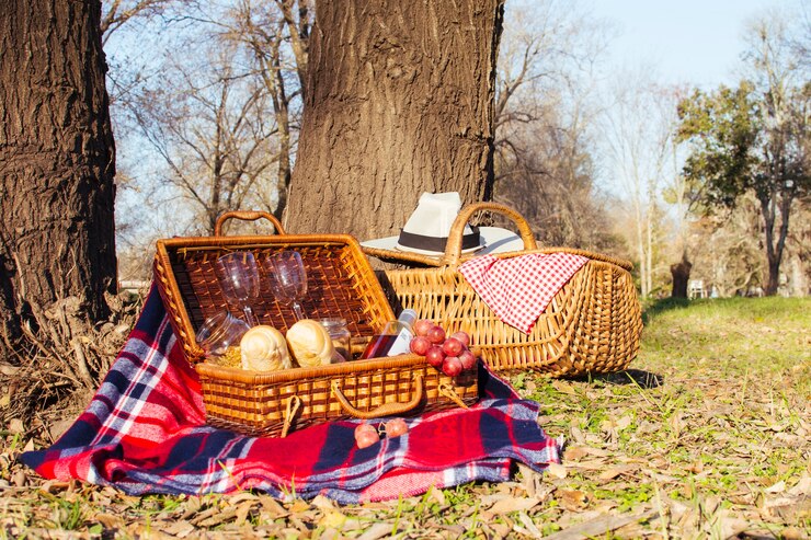 Picnic date