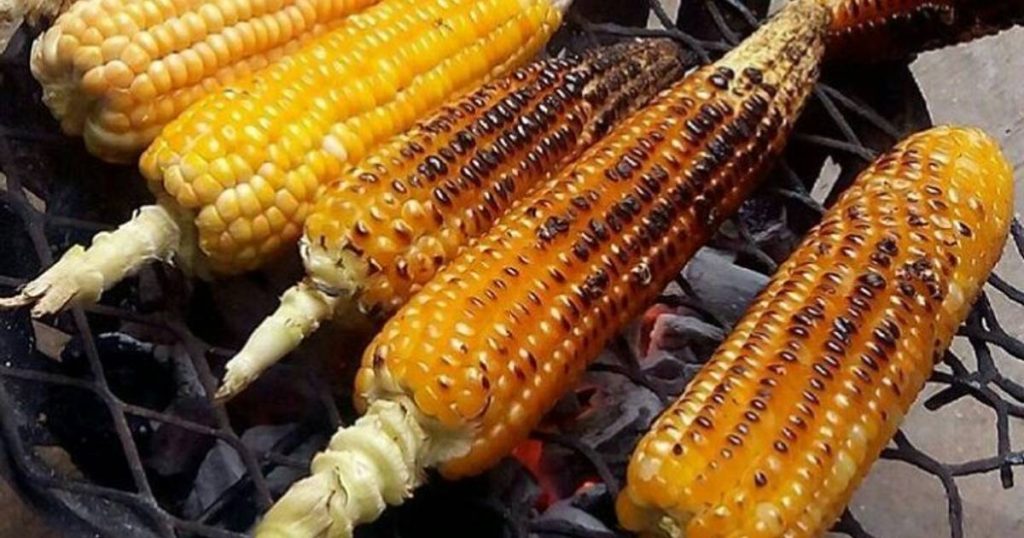 roasted corn