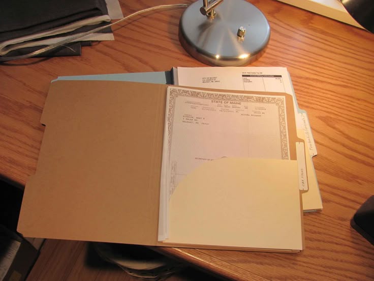 Your Japa folder containing all travel documents