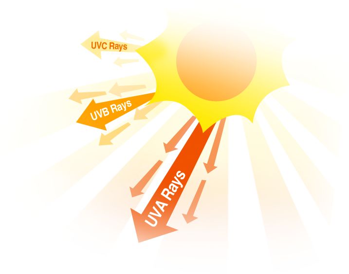 What does UV rays do to your skin